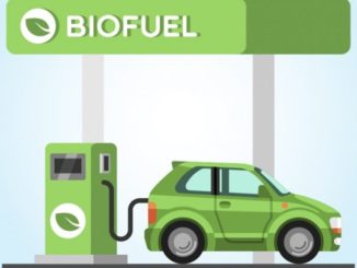 Biofuel 600