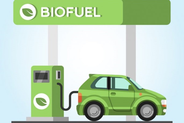 Biofuel 600