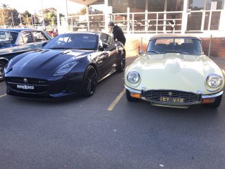 Two jags