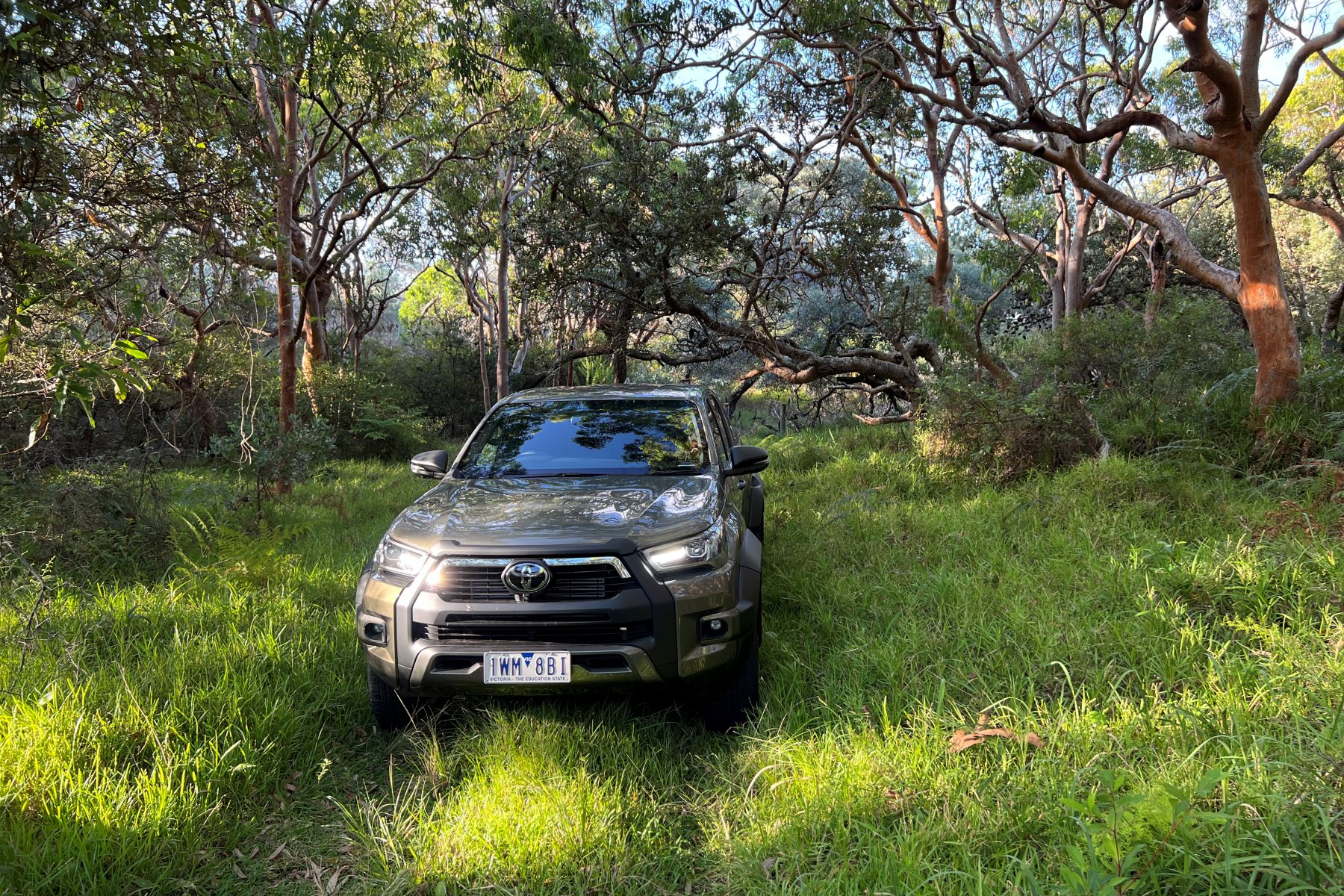 2023 Toyota HiLux Rogue front grill in bush
