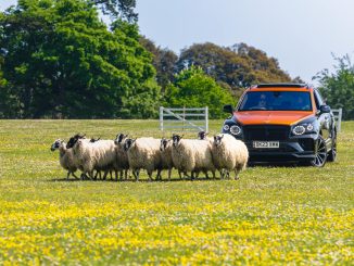 Bentayga S Goodwoof